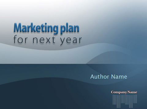 Sales and Marketing Plan Writing